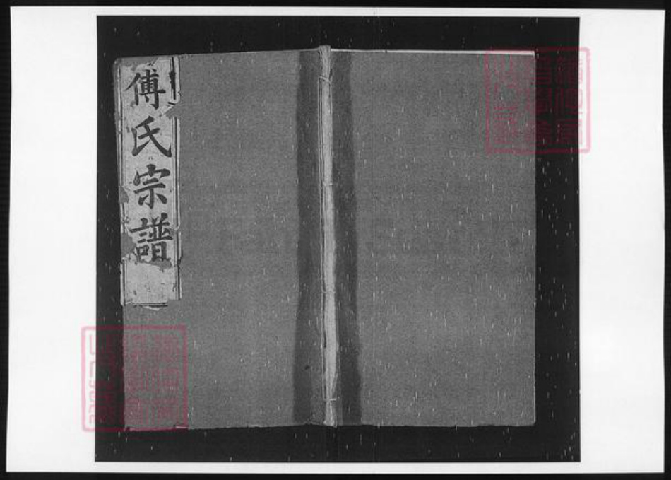 江西省傅氏族谱-傅氏族谱.pdf电子版插图
