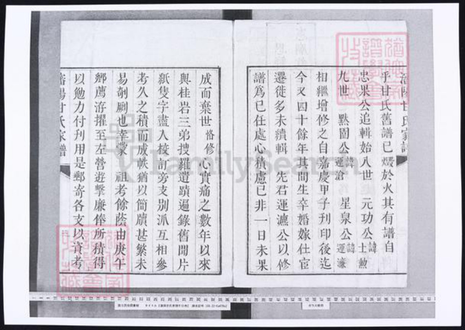 辽宁省沈阳市甘氏族谱-沈阳旗汉甘氏家谱.pdf电子版插图2