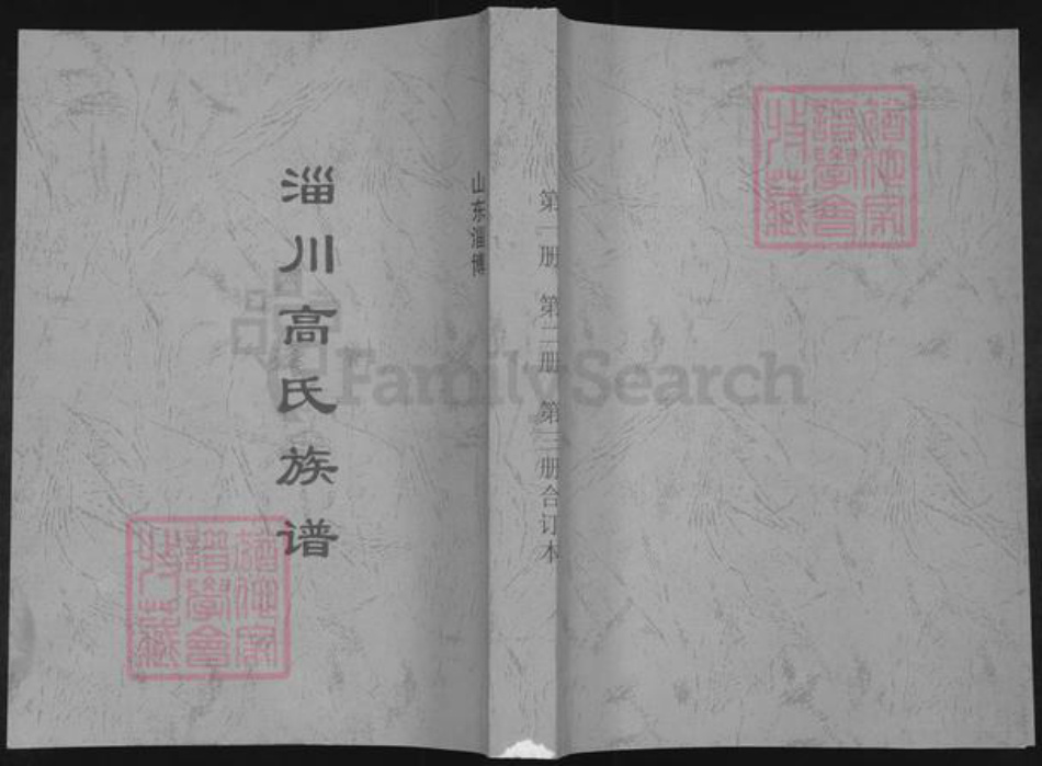 山东省淄博市淄川区高氏族谱-淄川高氏族谱.pdf电子版插图