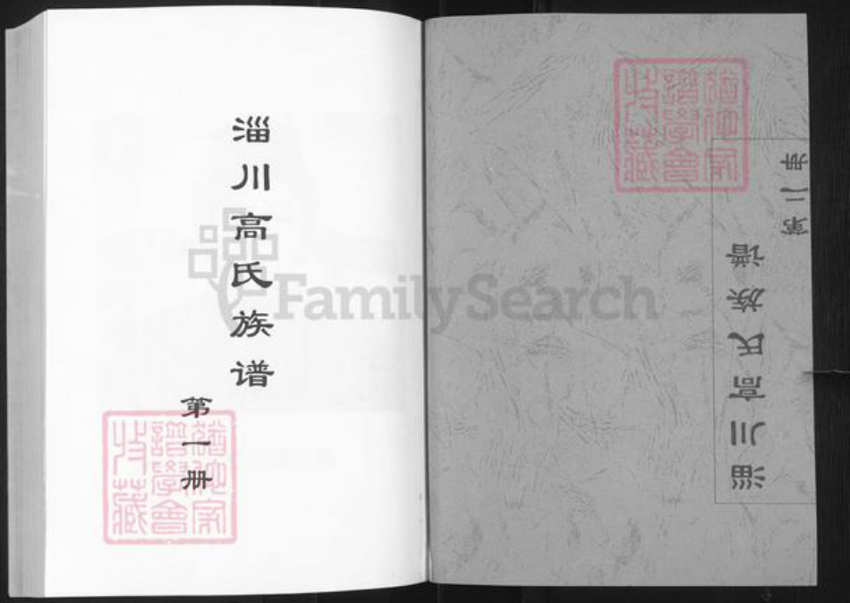 山东省淄博市淄川区高氏族谱-淄川高氏族谱.pdf电子版插图1