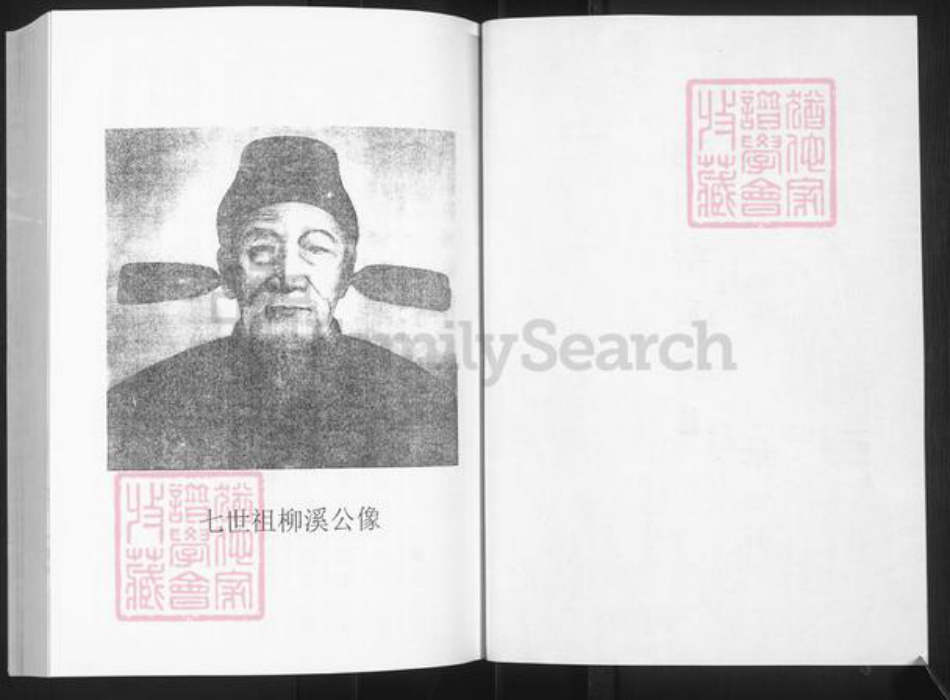 山东省淄博市淄川区高氏族谱-淄川高氏族谱.pdf电子版插图2