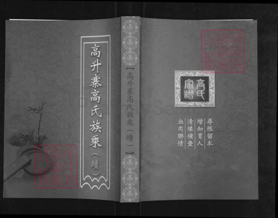 山西省忻州市繁峙县繁城镇高氏族谱-高升寨高氏族乘(续).pdf电子版插图