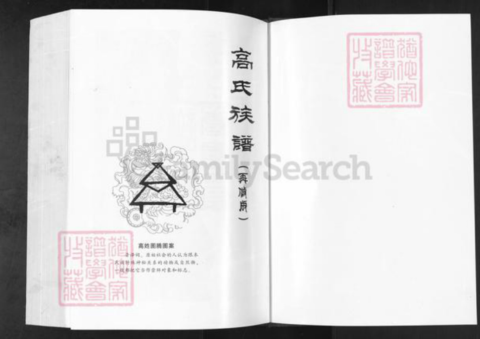 辽宁省营口盖州市盖州高氏族谱-高氏族谱.pdf电子版插图1