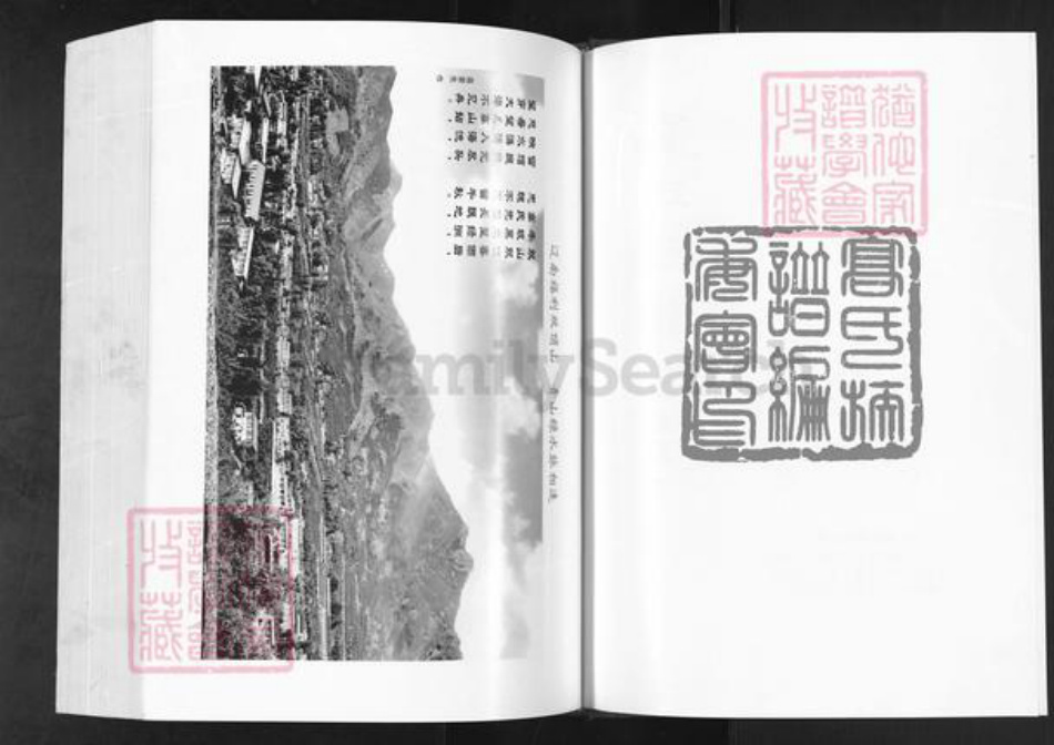 辽宁省营口盖州市盖州高氏族谱-高氏族谱.pdf电子版插图2