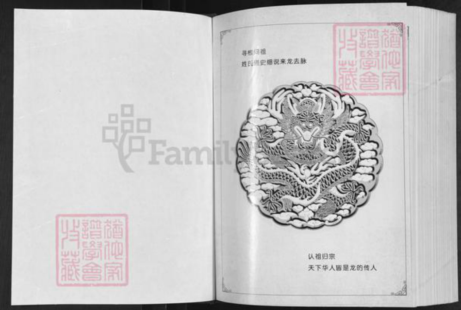 重庆市奉节县高氏族谱-高氏族奉节云阳谱.pdf电子版插图1