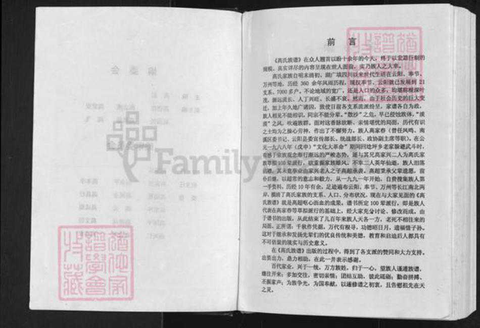 重庆市奉节县永安街道高氏族谱-高氏族云阳奉节谱.pdf电子版插图2