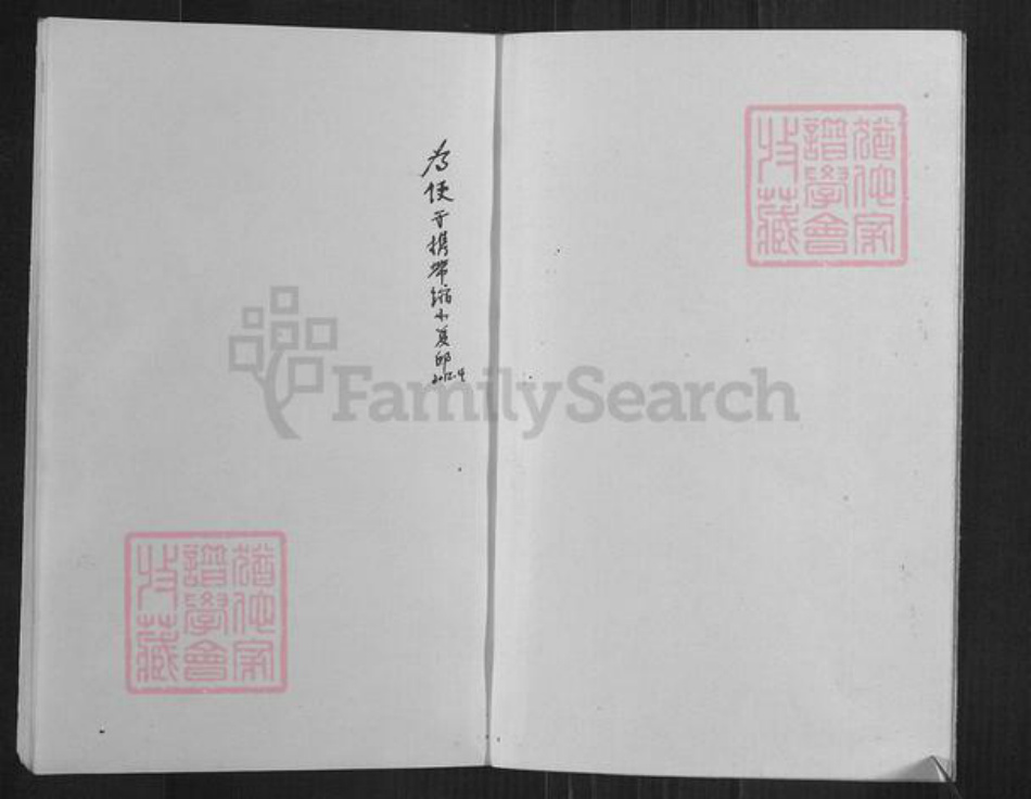 四川省内江市资中县银山镇高氏渤海堂族谱-高英始发公支系宗谱.pdf电子版插图2