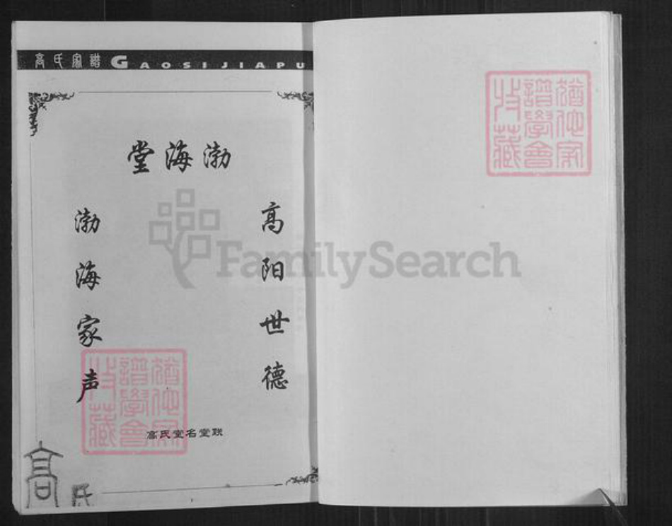 四川省内江市资中县银山镇高氏渤海堂族谱-高英始发公支系宗谱.pdf电子版插图3