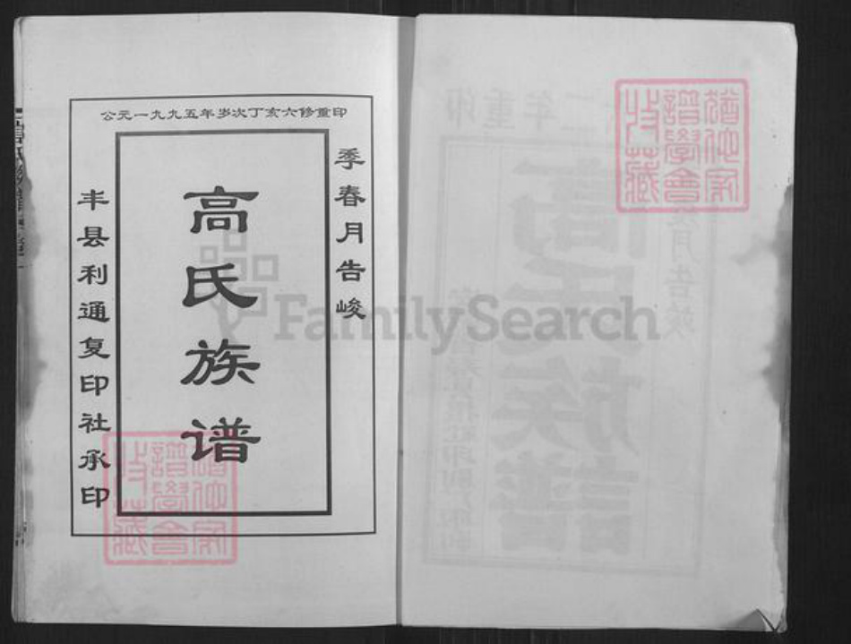 江苏省徐州市丰县高氏三瑞堂族谱-古丰高氏族谱.pdf电子版插图3