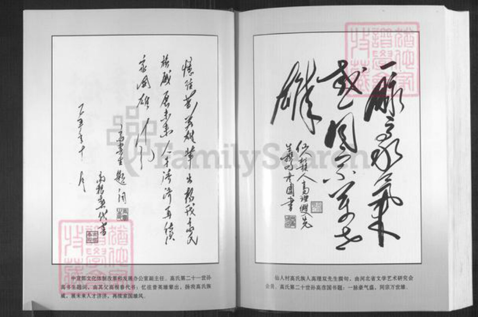 河北省石家庄市井陉县孙庄乡高氏族谱-高氏家谱.pdf电子版插图4