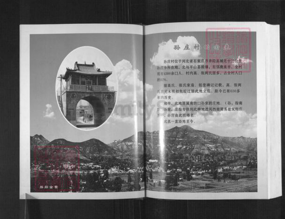 河北省石家庄市井陉县孙庄乡高氏族谱-高氏家谱.pdf电子版插图5