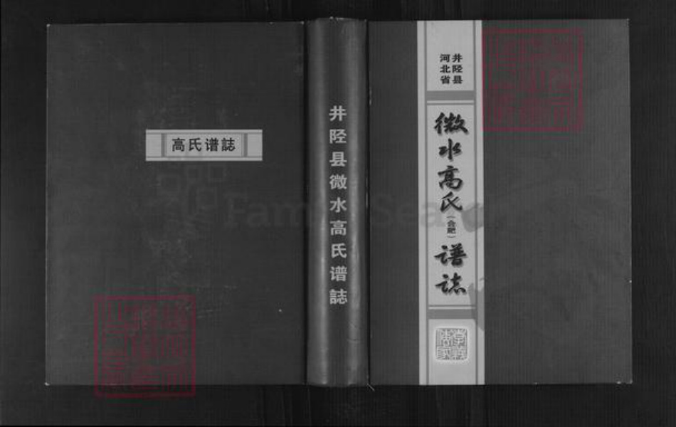 河北省石家庄市井陉县微水镇高氏明锦堂族谱-河北省井陉县微水高氏谱志.pdf电子版插图