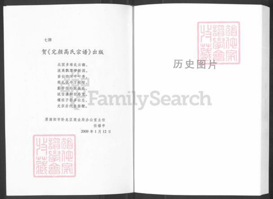 河南省南阳市南召县高氏族谱-高召县高氏(完颜)任营大支宗谱.pdf电子版插图5