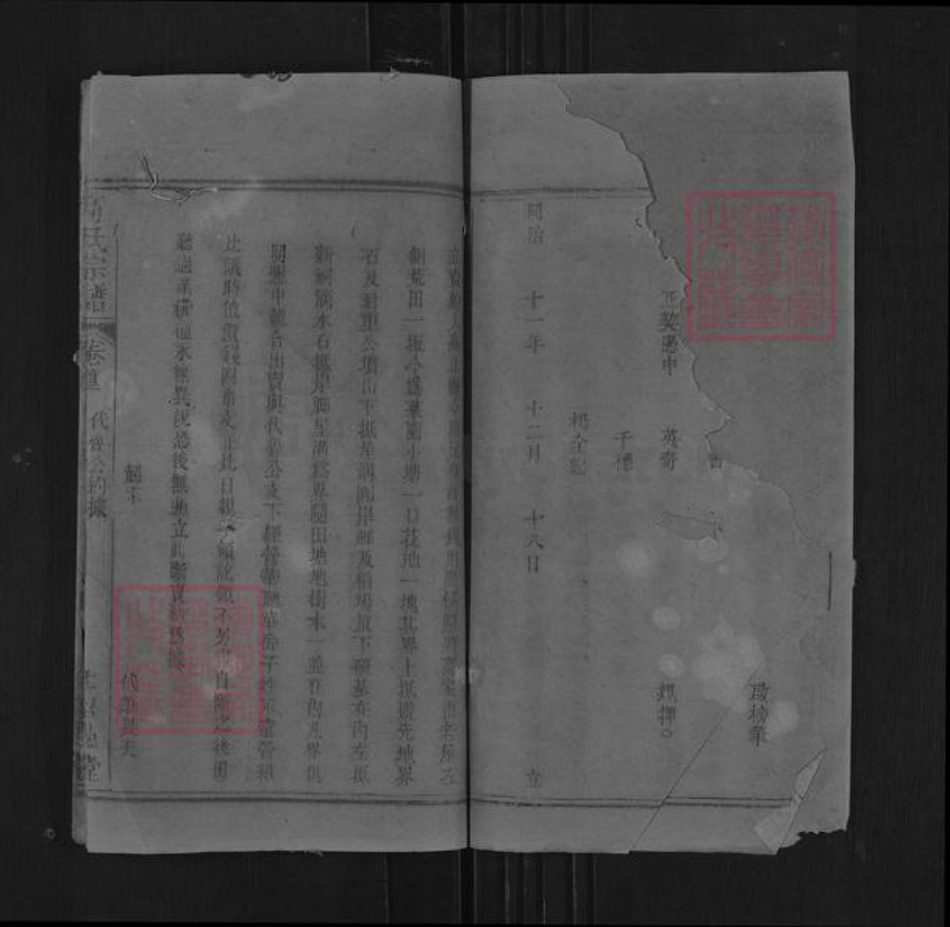 湖北省黄冈市罗田县平湖乡高氏绍愚堂族谱-高氏宗谱.pdf电子版插图1