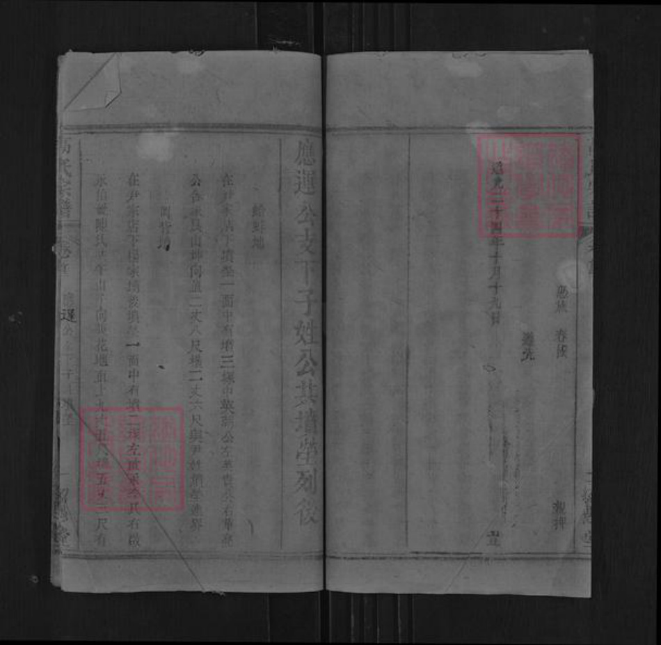 湖北省黄冈市罗田县平湖乡高氏绍愚堂族谱-高氏宗谱.pdf电子版插图2