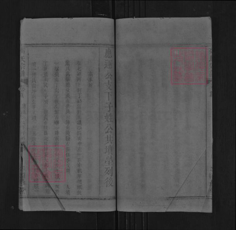 湖北省黄冈市罗田县平湖乡高氏绍愚堂族谱-高氏宗谱.pdf电子版插图4
