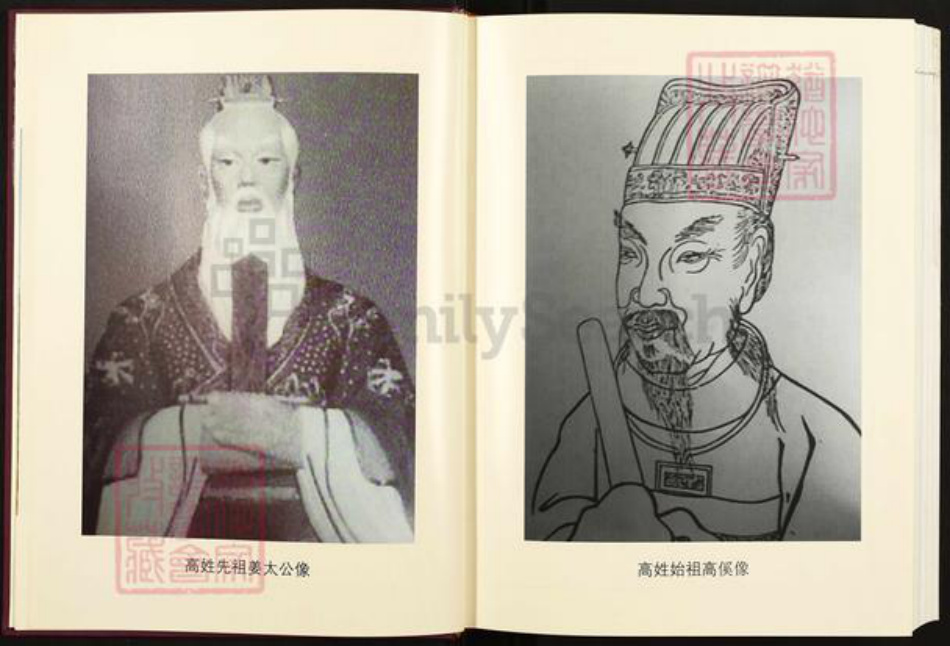 陕西省榆林米脂县高氏族谱-高氏家谱.pdf电子版插图5