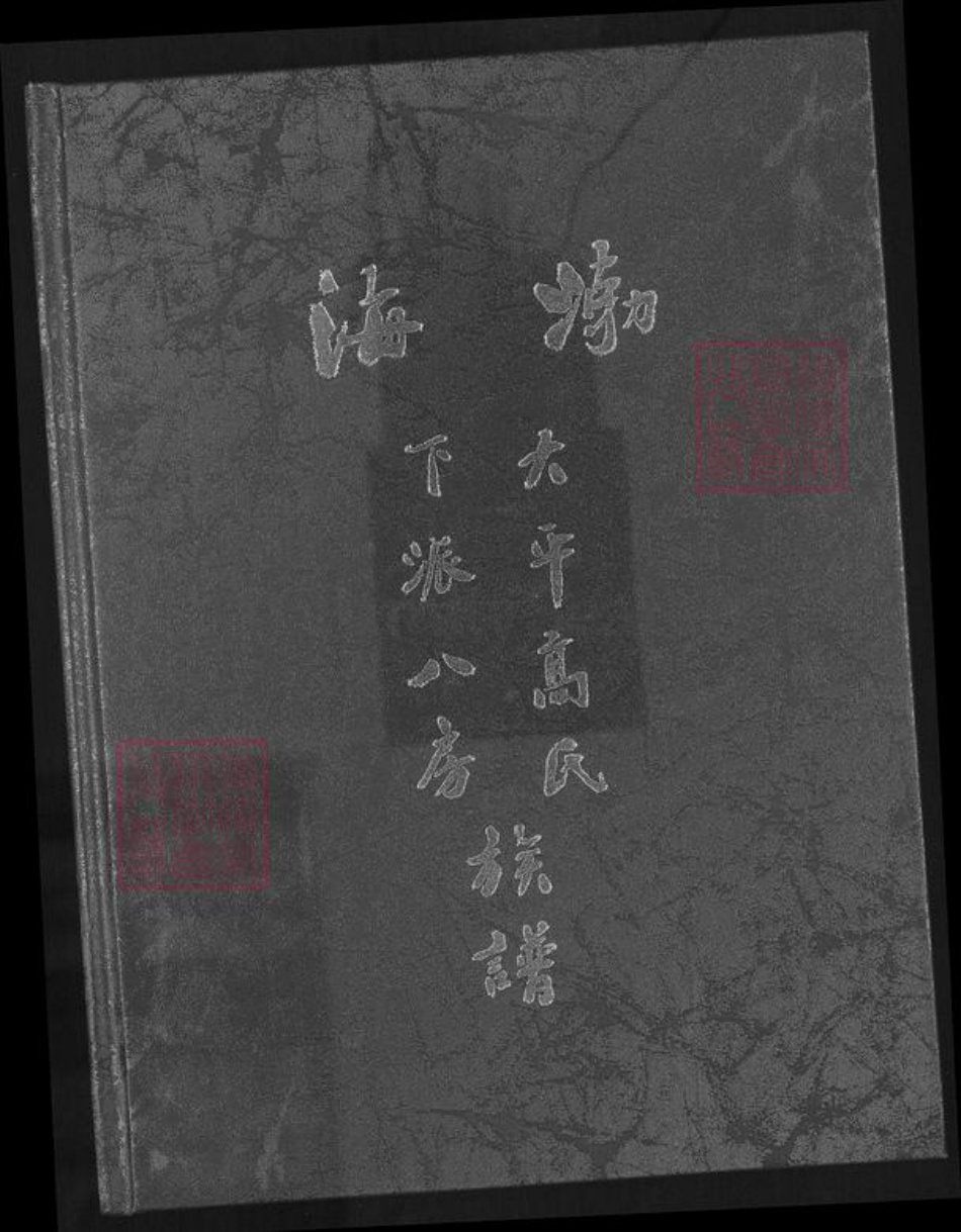 福建省泉州市安溪县高氏族谱-渤海大平高氏下派八房族谱.pdf电子版插图