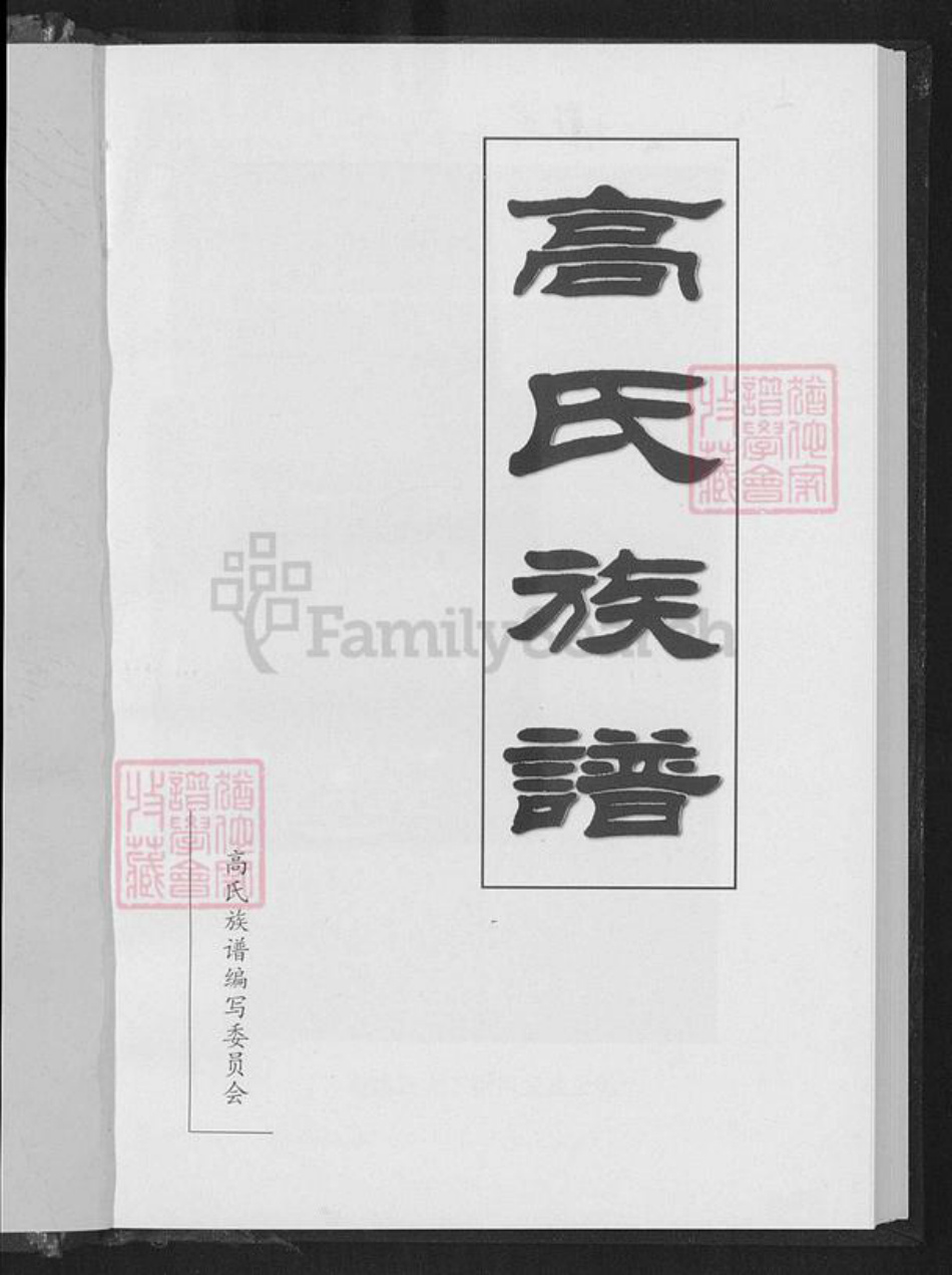 云南省楚雄彝族自治州姚安县高氏族谱-高氏族谱.pdf电子版插图1