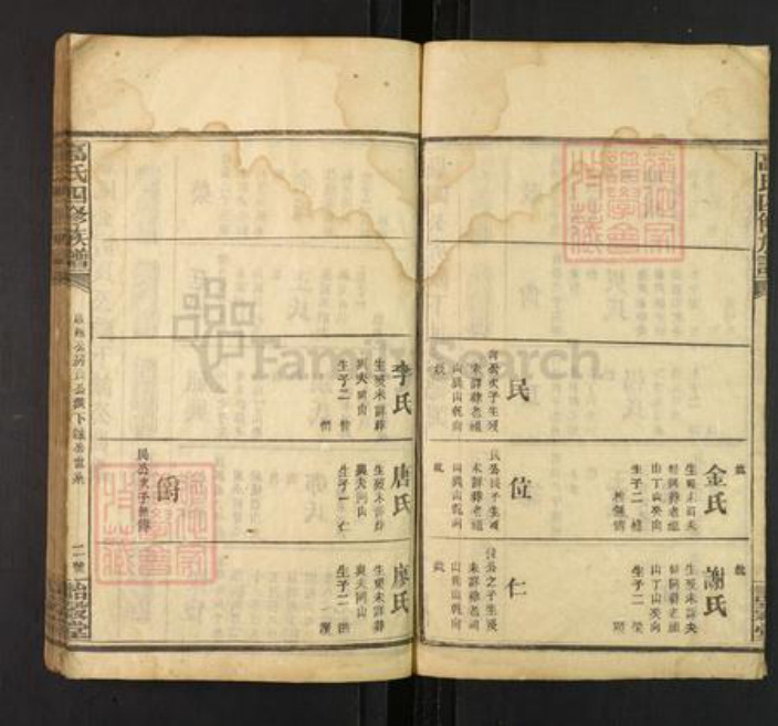 湖南省高氏诒谷堂族谱-高氏四修族谱.pdf电子版插图2