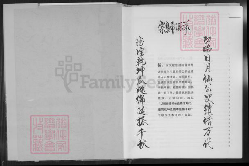 重庆市垫江县高氏族谱-重庆垫江高氏族谱.pdf电子版插图2