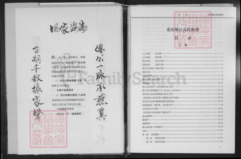 重庆市垫江县高氏族谱-重庆垫江高氏族谱.pdf电子版插图3