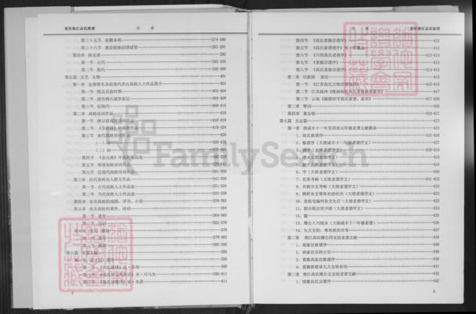 重庆市垫江县高氏族谱-重庆垫江高氏族谱.pdf电子版插图5