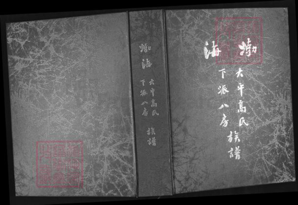 福建省泉州市安溪县大坪乡高氏族谱-渤海大平高氏下派八房族谱.pdf电子版插图