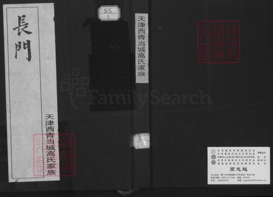 天津市西青区辛口镇高氏族谱-天津西青当城高氏家族.pdf电子版插图