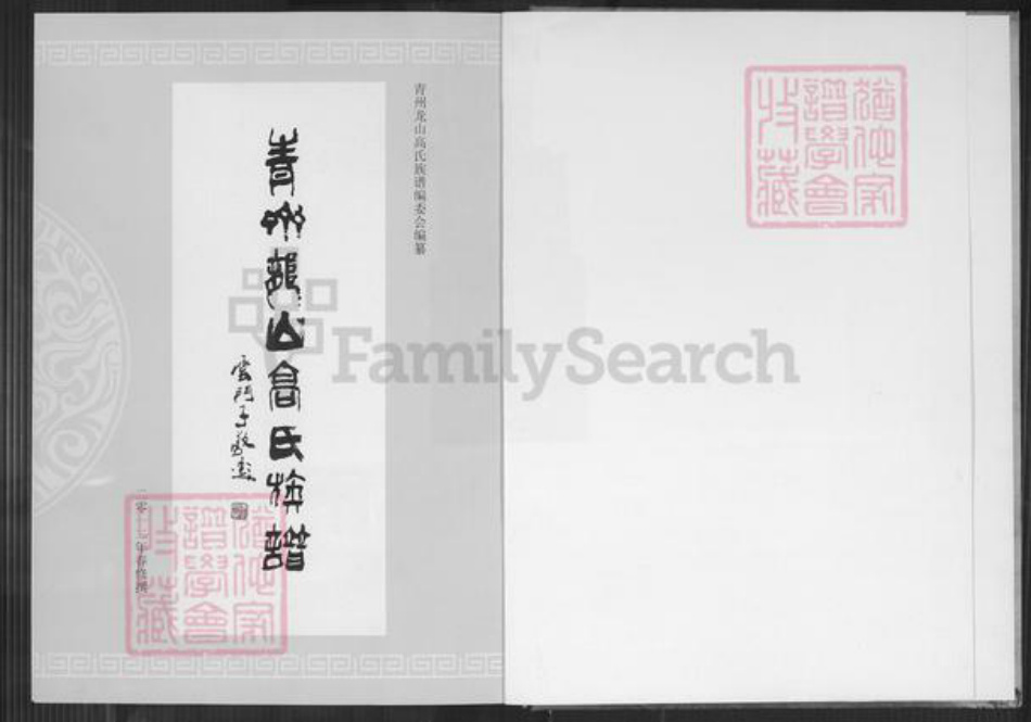 山东省潍坊市青州市高氏族谱-青州龙山高氏族谱.中华高氏大通谱青州支谱.pdf电子版插图1