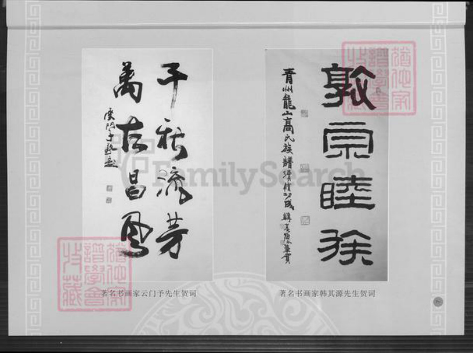 山东省潍坊市青州市高氏族谱-青州龙山高氏族谱.中华高氏大通谱青州支谱.pdf电子版插图5