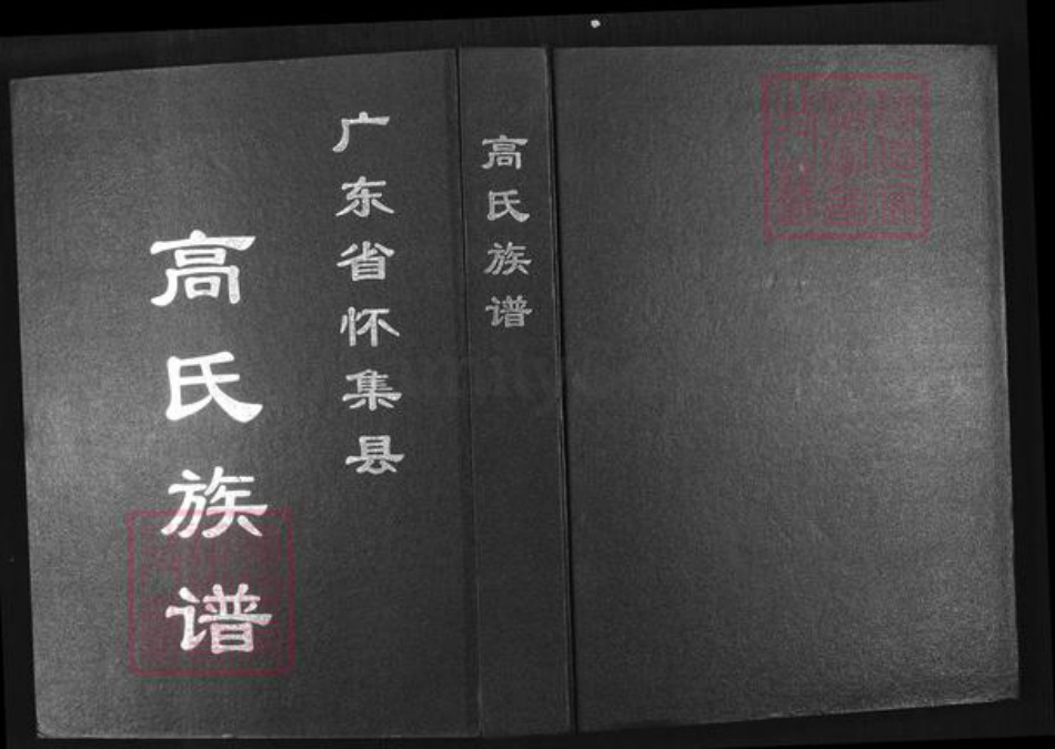 广东省肇庆市怀集县高氏族谱-高氏族谱.pdf电子版插图
