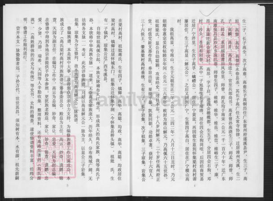 广东省肇庆市怀集县高氏族谱-高氏族谱.pdf电子版插图5