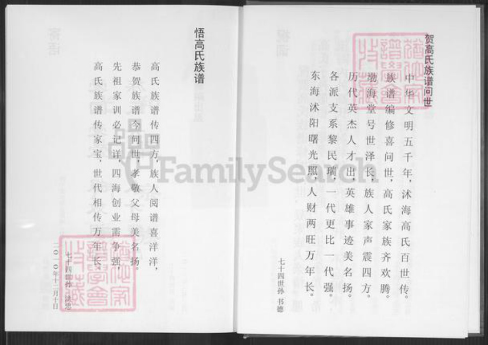 江苏省宿迁市沭阳县潼阳镇高氏渤海堂族谱-高氏族谱.pdf电子版插图5