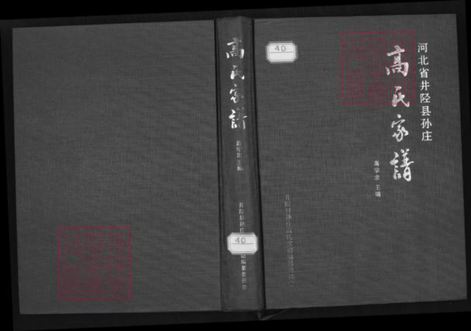 河北省石家庄市井陉县孙庄乡高氏族谱-高氏家谱.pdf电子版插图