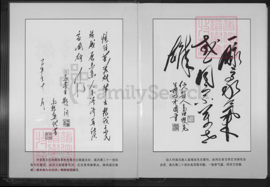 河北省石家庄市井陉县孙庄乡高氏族谱-高氏家谱.pdf电子版插图5