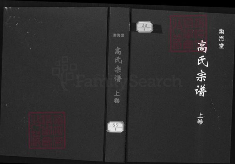 湖北省仙桃市剅河镇高氏渤海堂族谱-高氏宗谱.pdf电子版插图