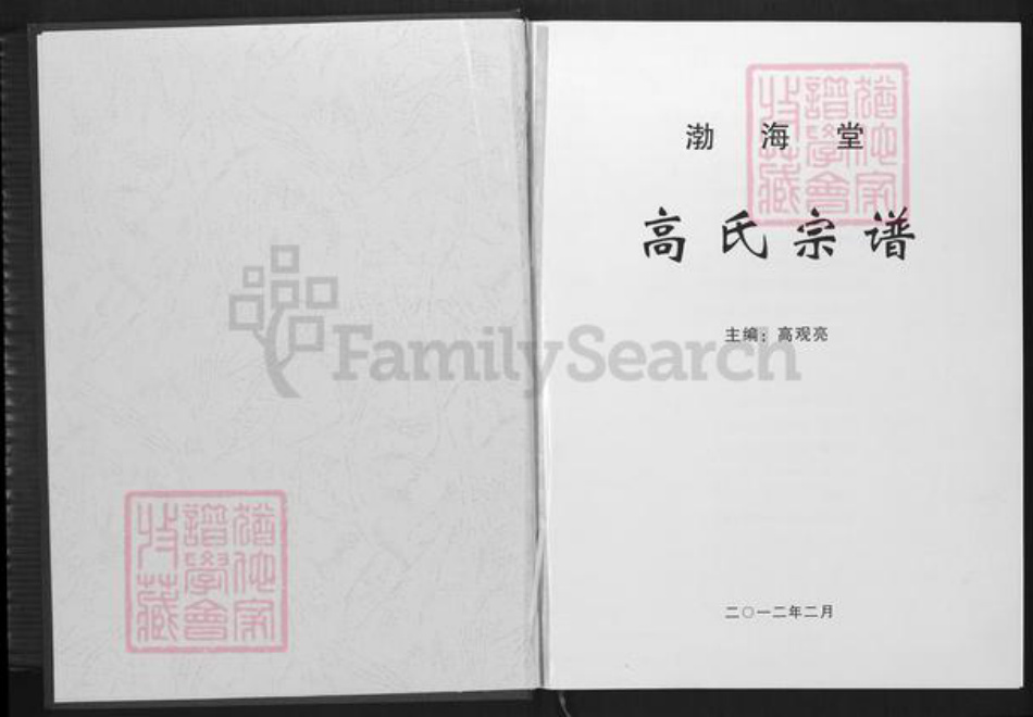 湖北省仙桃市剅河镇高氏渤海堂族谱-高氏宗谱.pdf电子版插图1