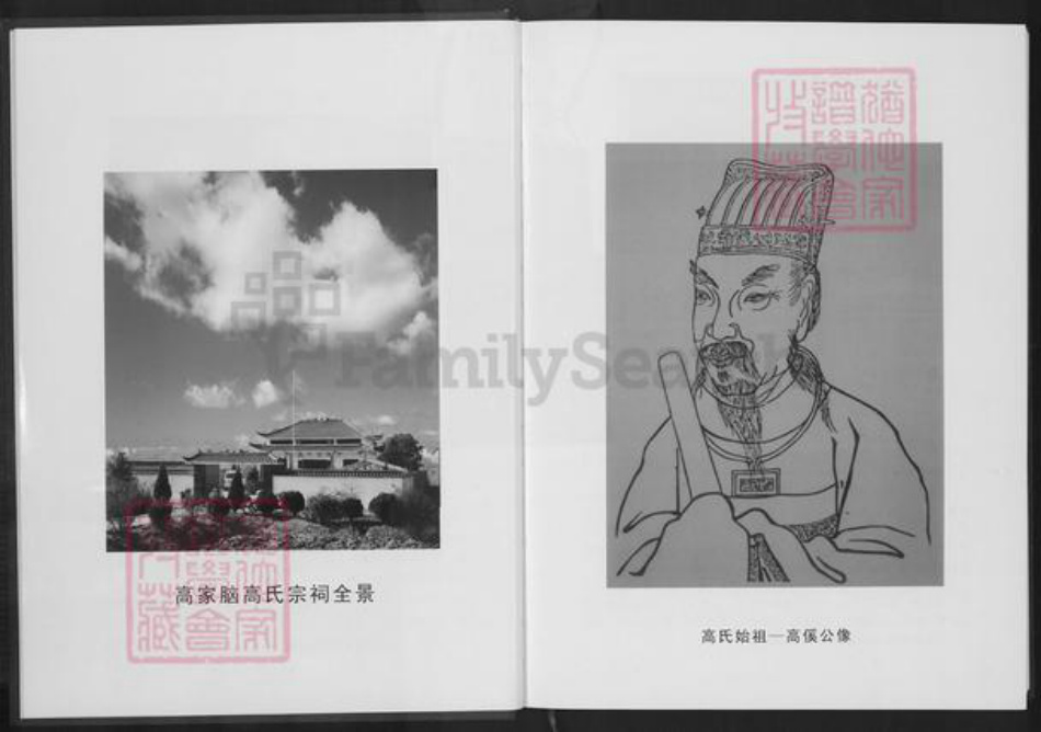 湖北省仙桃市剅河镇高氏渤海堂族谱-高氏宗谱.pdf电子版插图5