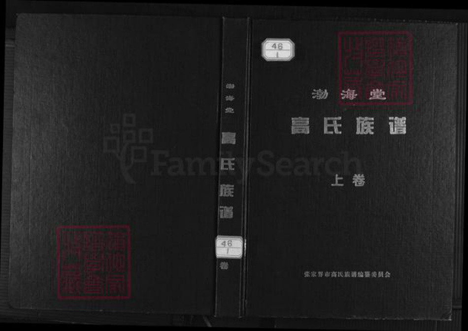 湖南省张家界永定区高氏渤海堂族谱-渤海堂高氏族谱.pdf电子版插图