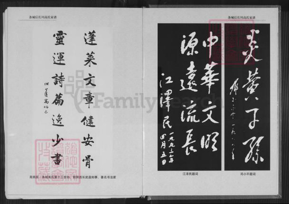 甘肃省白银高氏族谱-甘肃条城后长川高氏家谱.pdf电子版插图5