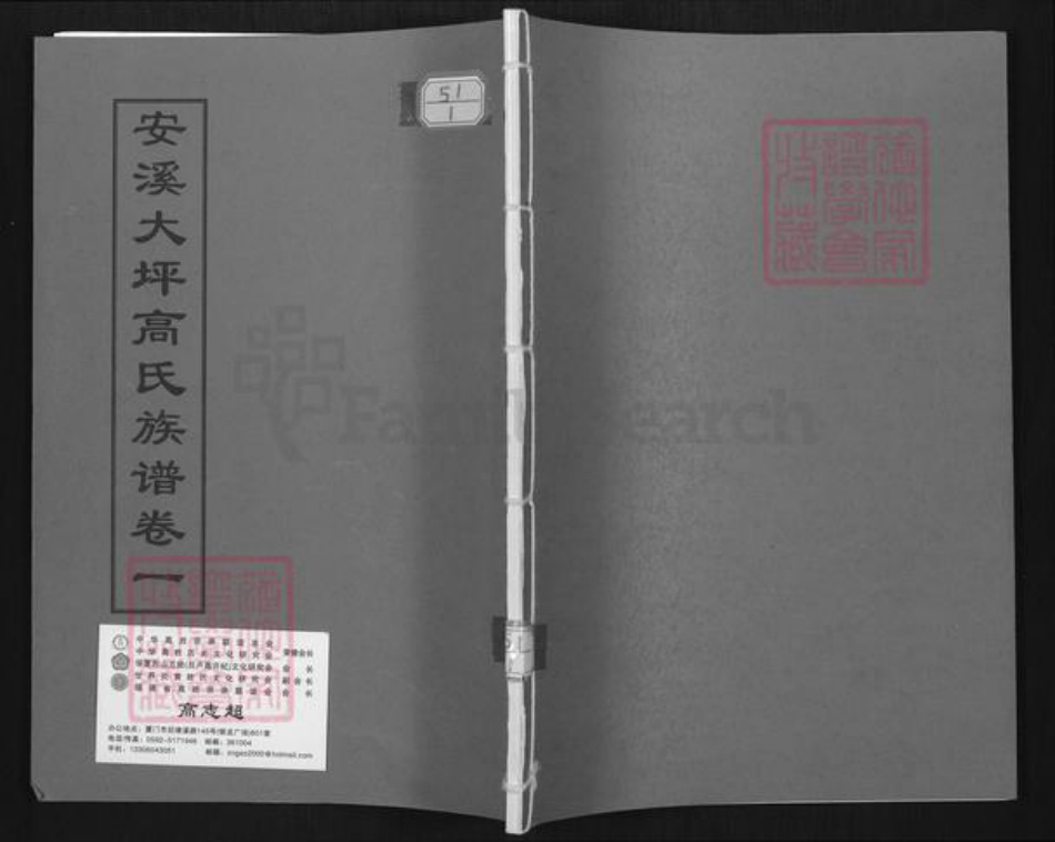 福建省泉州市安溪县大坪乡高氏族谱-安溪大坪高氏族谱.pdf电子版插图