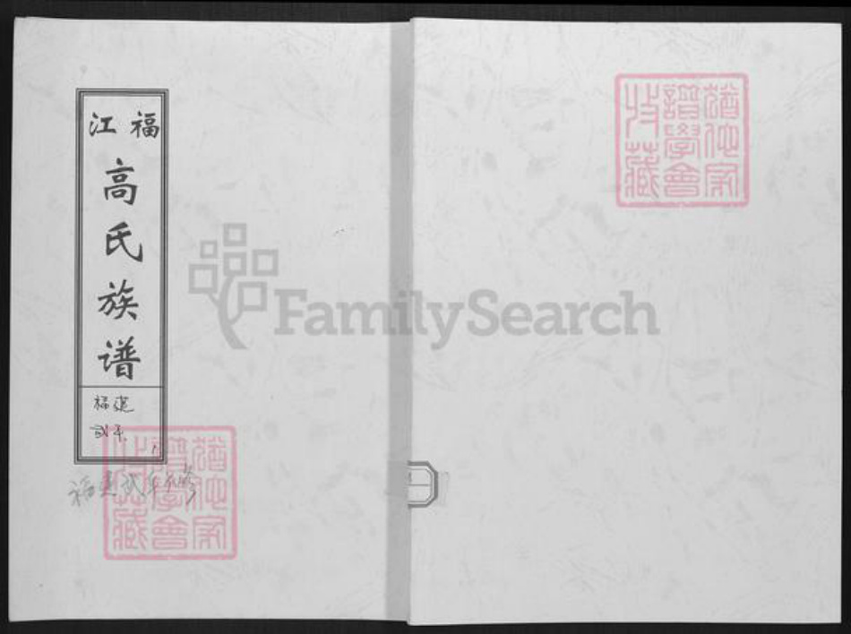 福建省龙岩市上杭县蓝溪镇高氏渤海堂族谱-江福高氏族谱.pdf电子版插图