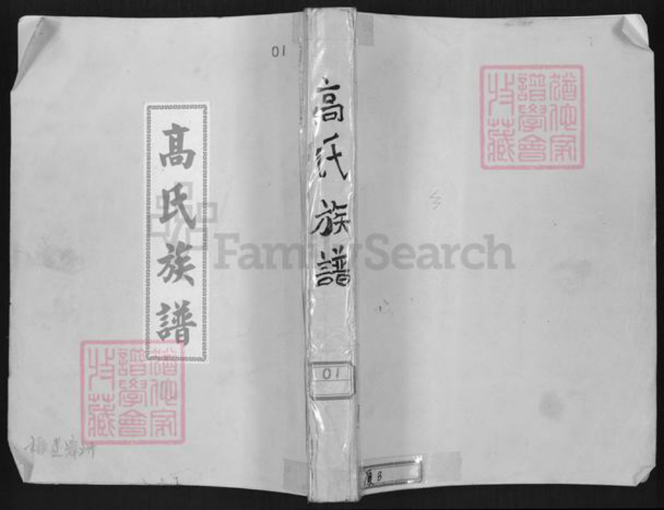 福建省漳州市龙海市石码街道高氏族谱-高氏族谱.pdf电子版插图