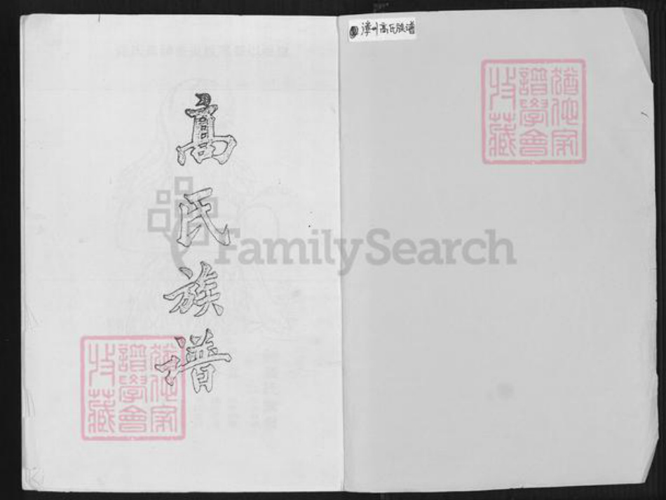 福建省漳州市龙海市石码街道高氏族谱-高氏族谱.pdf电子版插图1