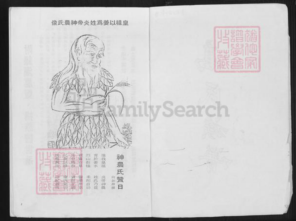 福建省漳州市龙海市石码街道高氏族谱-高氏族谱.pdf电子版插图2
