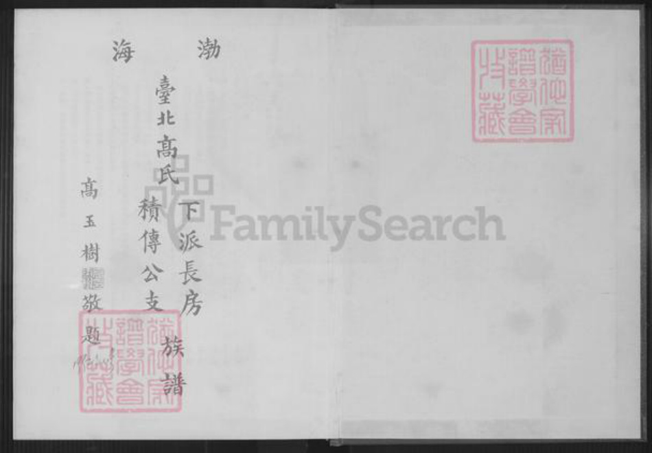 福建省泉州市安溪县大坪乡高氏渤海堂族谱-渤海台北高氏下派长房积传公支族谱.pdf电子版插图1