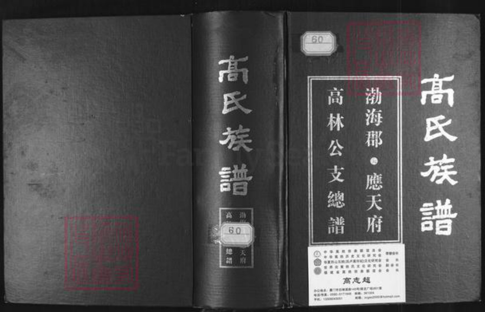 贵州省毕节市大方县高氏族谱-高氏族谱.渤海郡.应天府高林公支总谱.pdf电子版插图