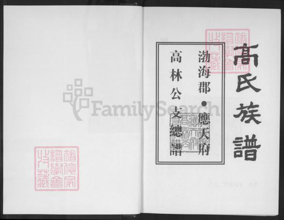 贵州省毕节市大方县高氏族谱-高氏族谱.渤海郡.应天府高林公支总谱.pdf电子版插图1