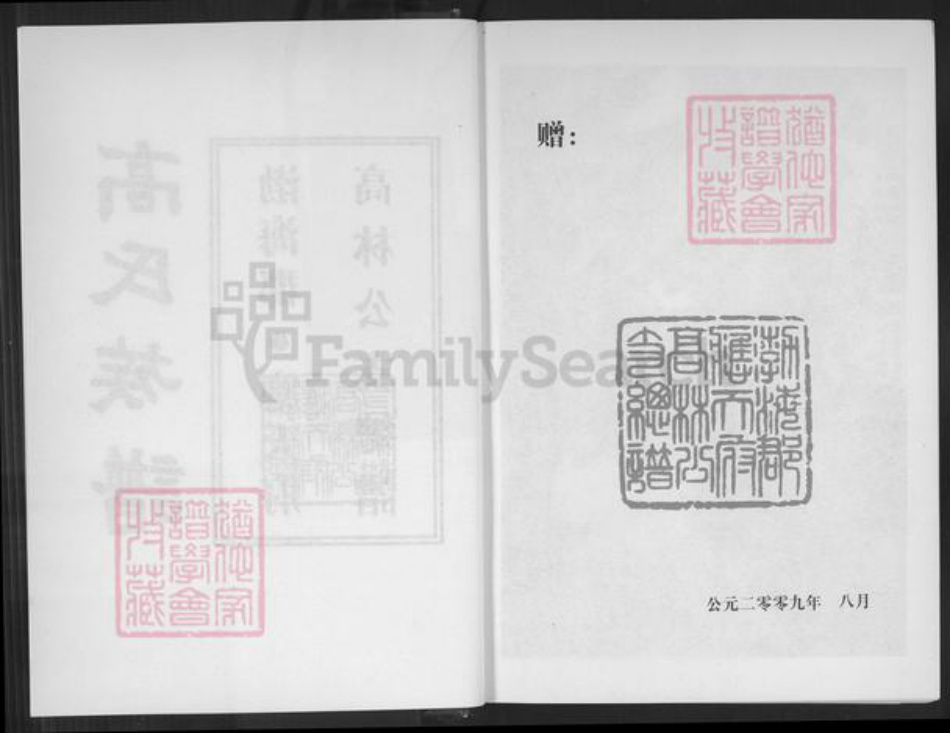 贵州省毕节市大方县高氏族谱-高氏族谱.渤海郡.应天府高林公支总谱.pdf电子版插图2